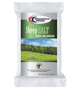 sheep salt